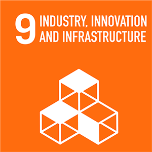 SDG9