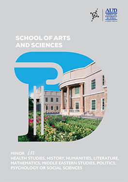 SAS Minor programs