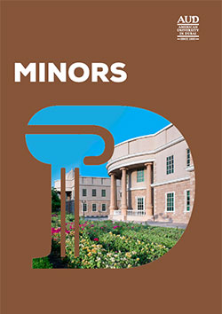 Minor programs eBrochure